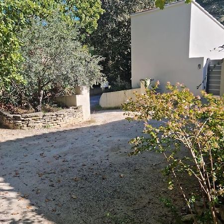 Nouveaute Studio Sur Les Hauteurs. Robion en Luberon Eksteriør billede